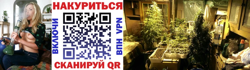 Купить наркотик аптеки Могоча КОКАИН  Меф  ГАШ  Бошки Шишки 