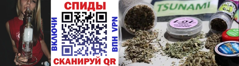 Бутират буратино  Могоча 