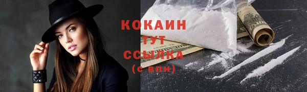 эйфоретик Дмитриев