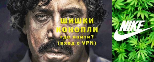 гидра Дмитров