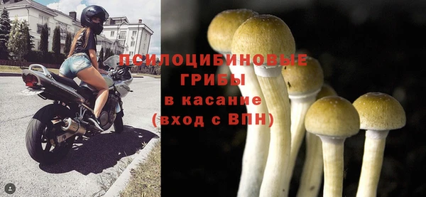 jwh Дмитровск