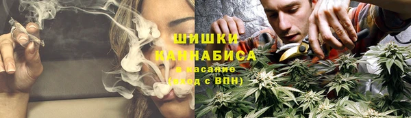 гидра Дмитров