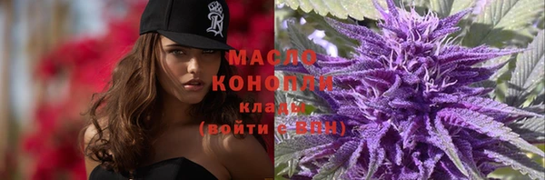 гидра Дмитров